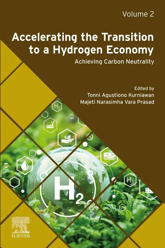 Accelerating the Transition to a Hydrogen Economy: Achieving Carbon Neutrality Volume 2