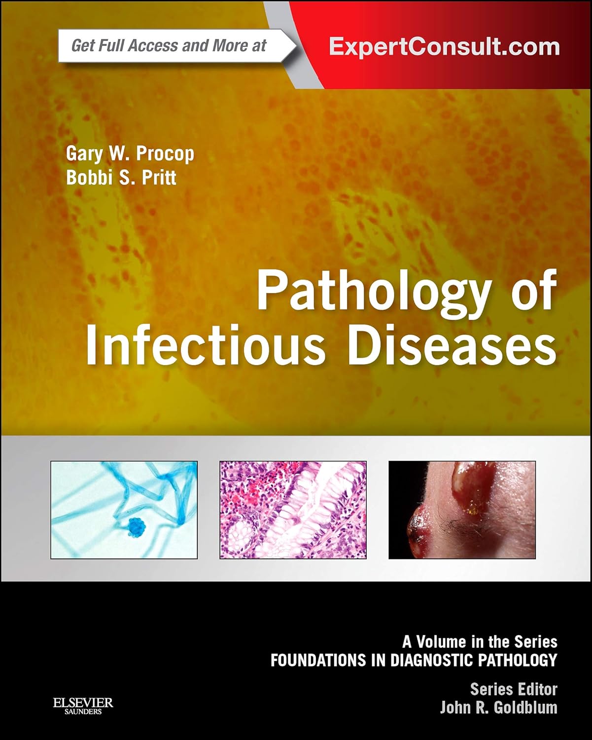 Pathology of Infectious Diseases: A Volume in the Series: Foundations in Diagnostic Pathology