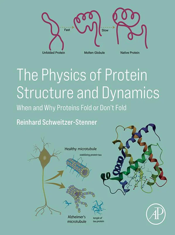 The Physics of Protein Structure and Dynamics: When and Why Proteins Fold or Don’t Fold
